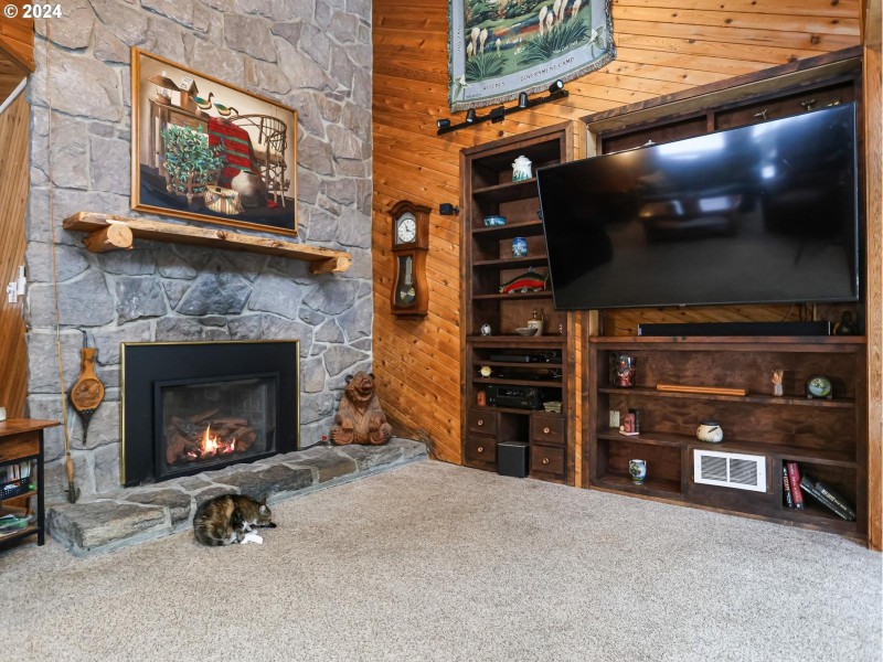 Fireplace Gas