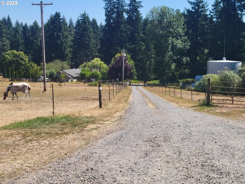 Driveway