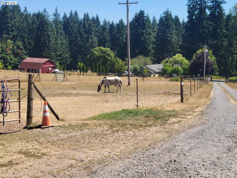 Pasture