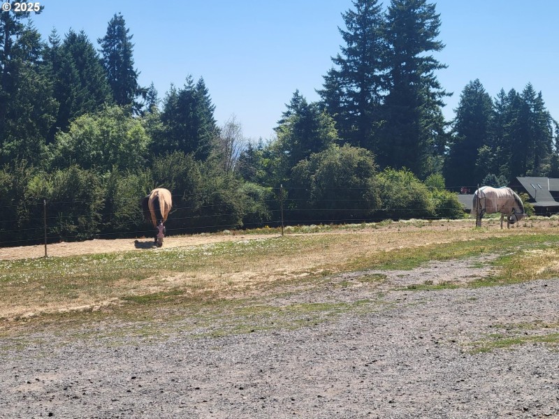 Pasture