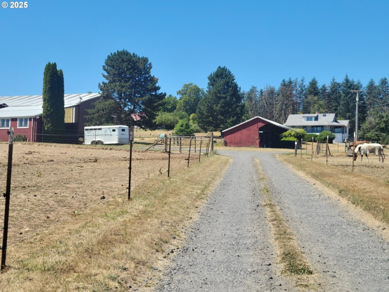Driveway