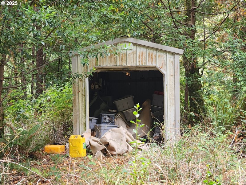 Shed