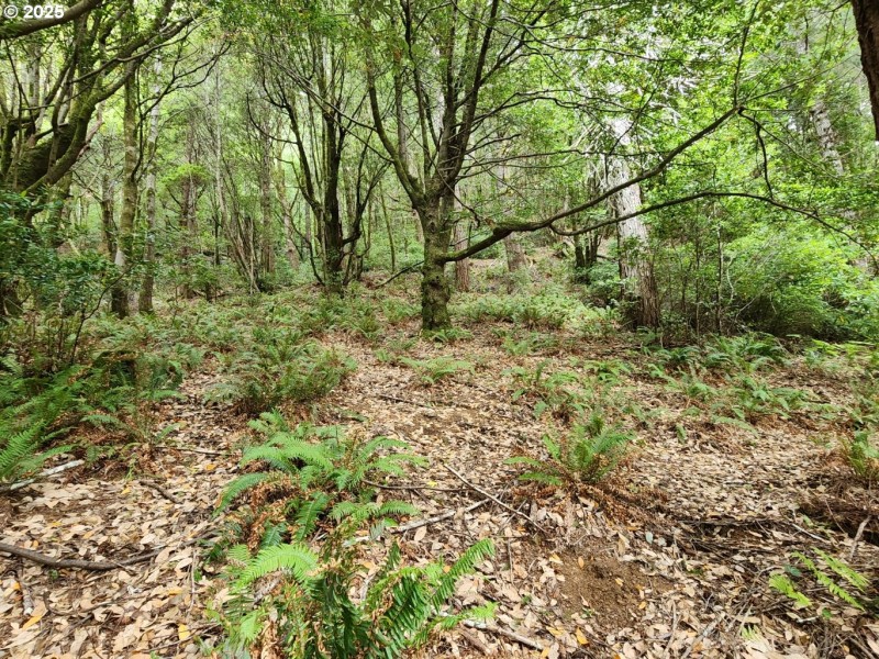 Acreage