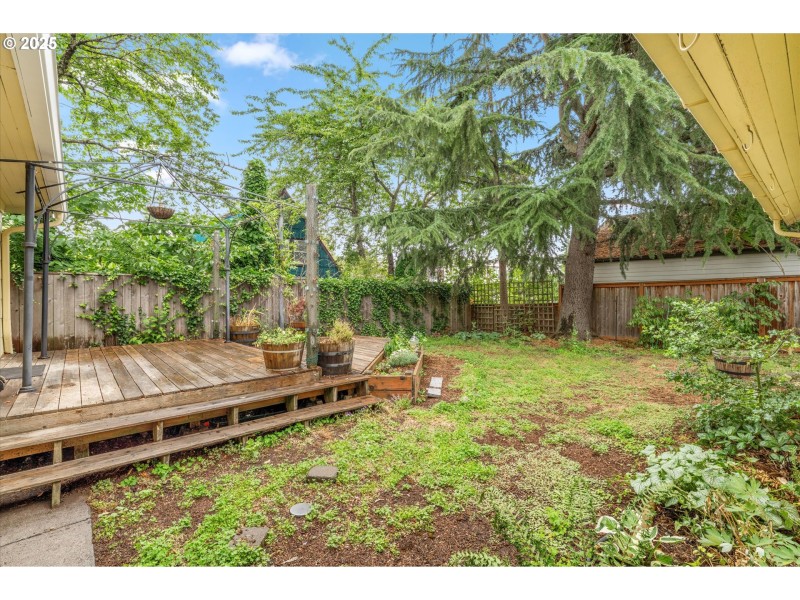 Yard