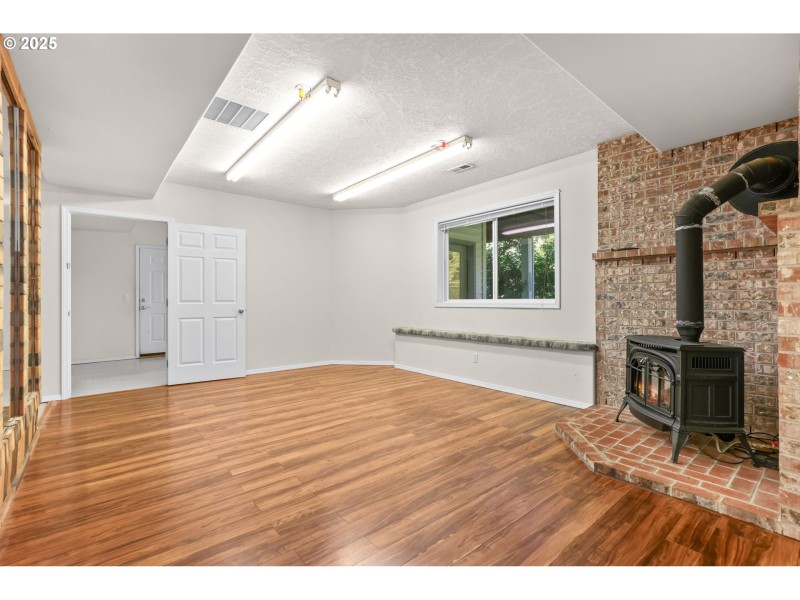 Fireplace Gas Burning Stove/Insert