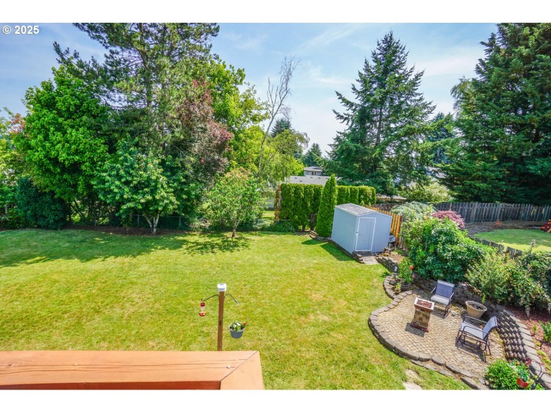 Backyard