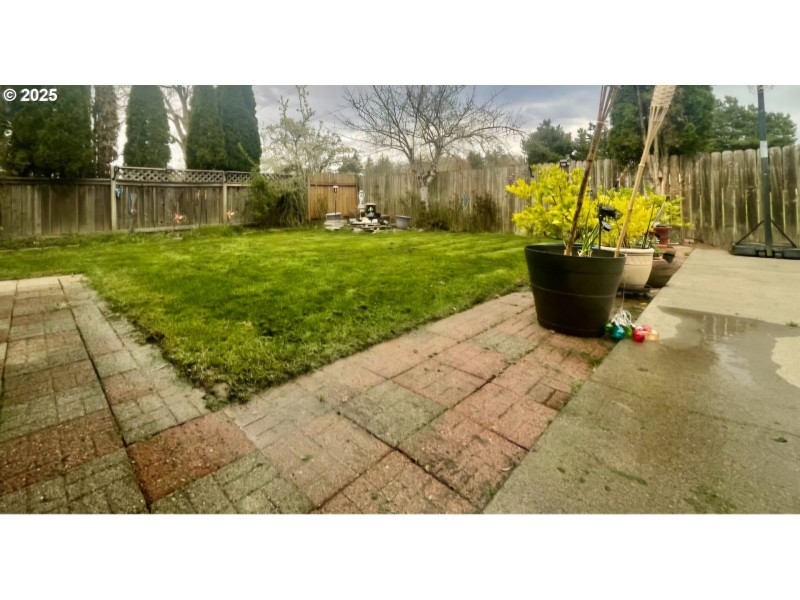 Backyard