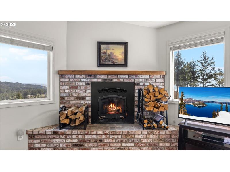 Fireplace Wood Burning Stove/Insert