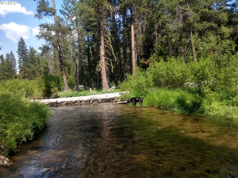 Creek
