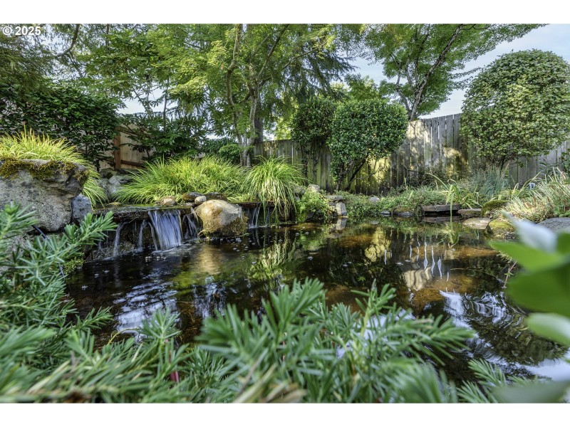 Water Feature