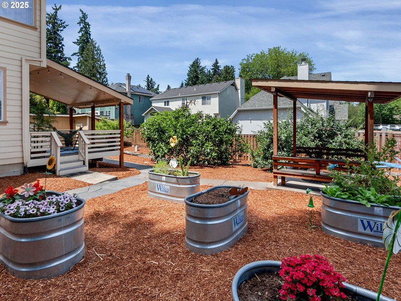 Backyard