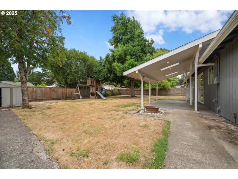 Backyard