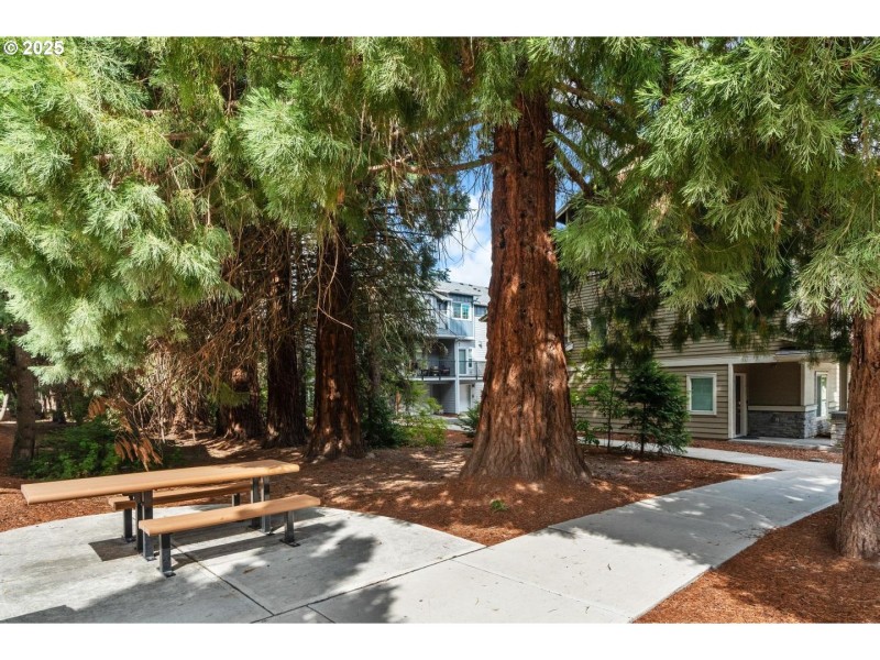 Community Amenities
