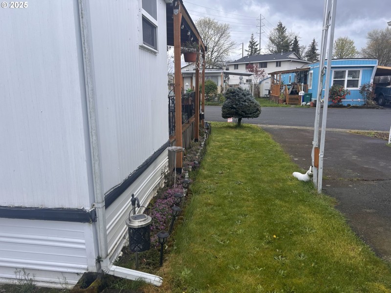 Yard
