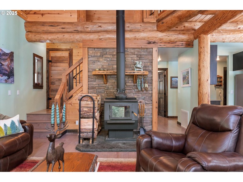 Fireplace Wood Burning Stove/Insert