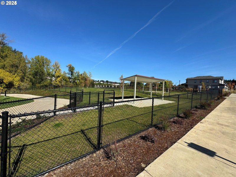 Dog Run