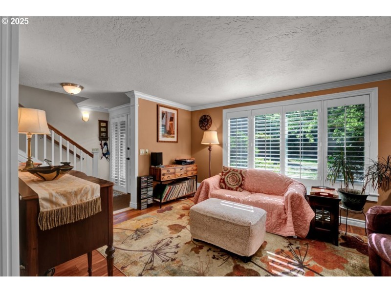 Living Room/Entrance