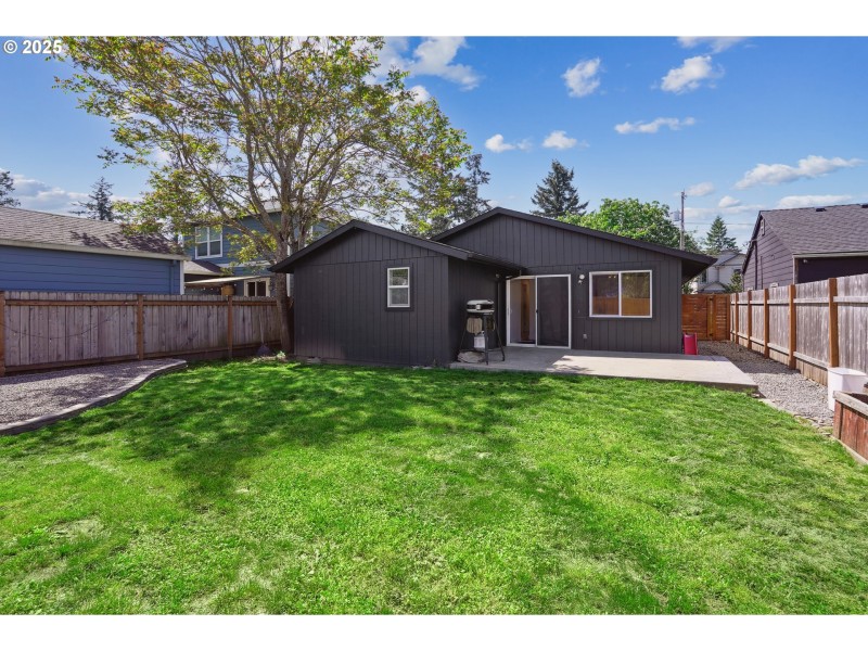 Backyard