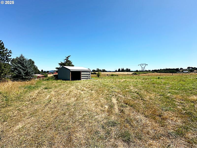 Pasture