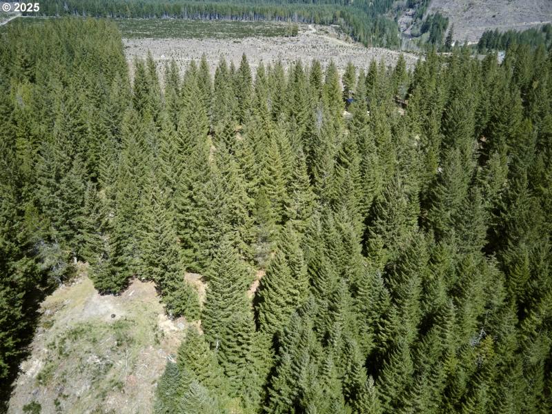 Acreage