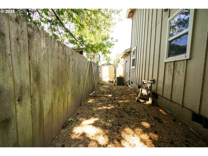 Dog Run