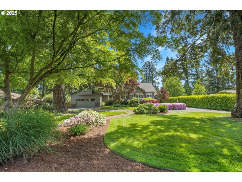 Front Yard