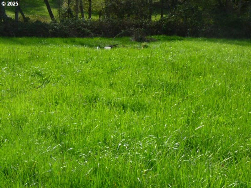 Acreage
