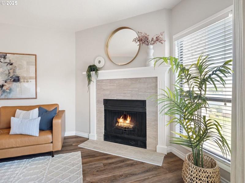 Fireplace Gas