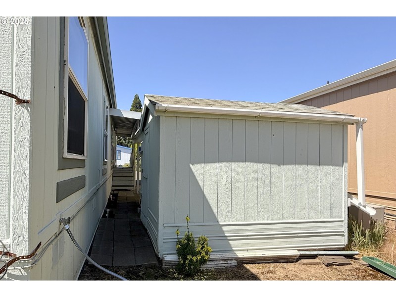 Shed