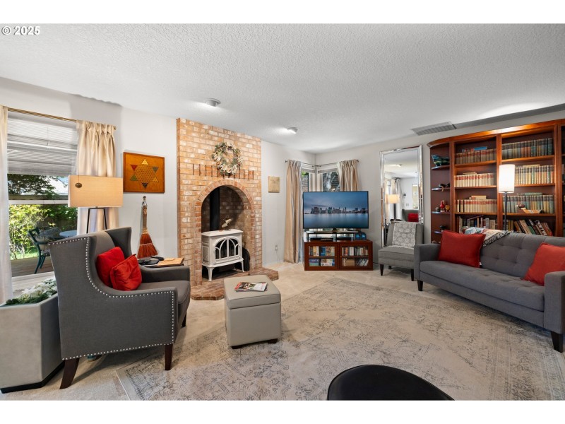 Fireplace Gas Burning Stove/Insert