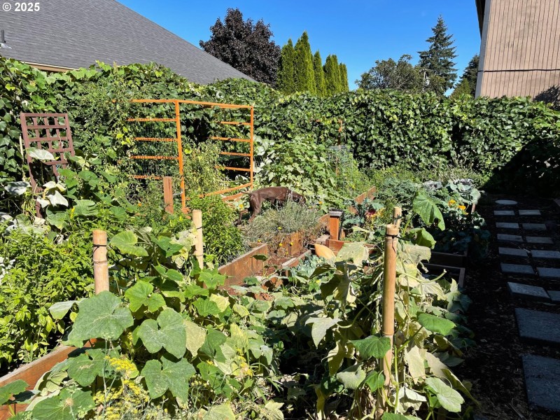 Yard