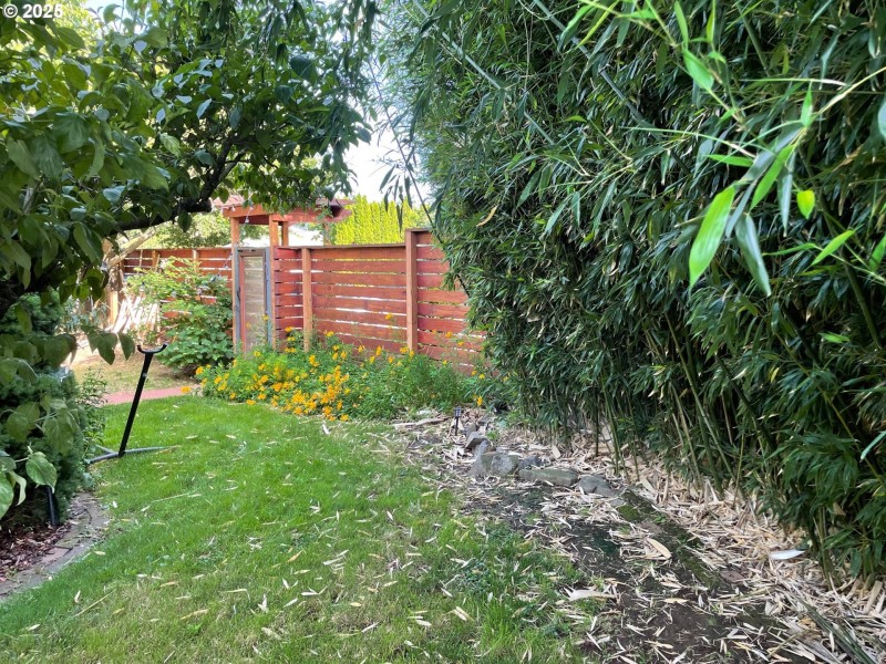 Yard