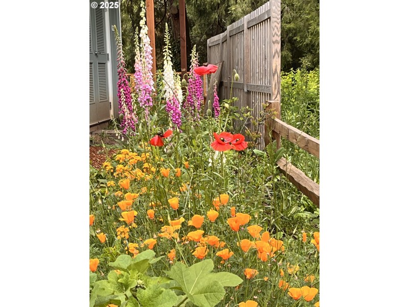 Community Garden