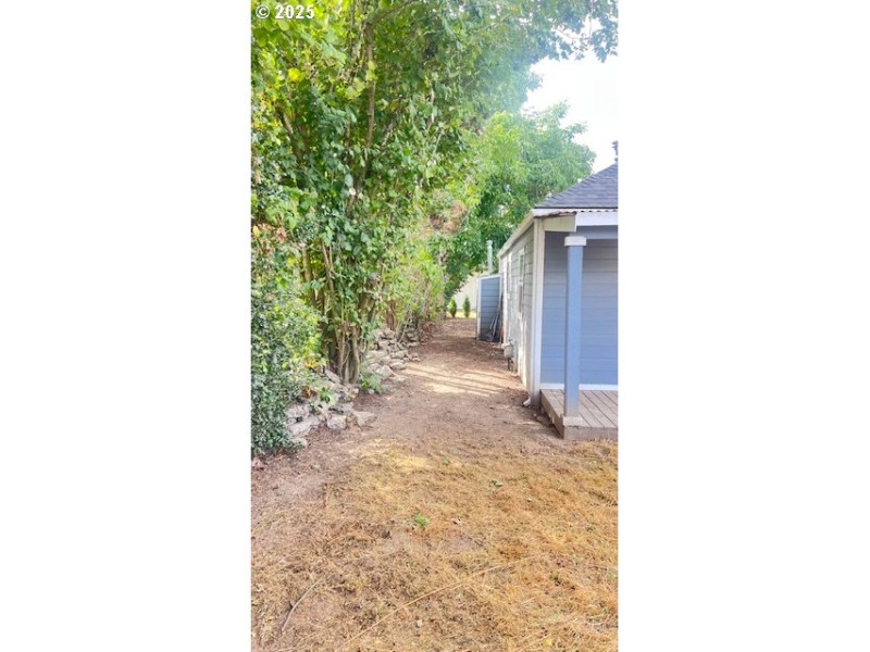 Yard