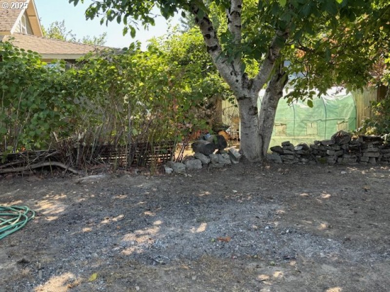 Yard