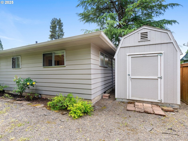 Shed