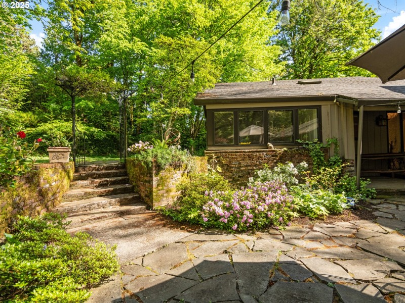Front Yard