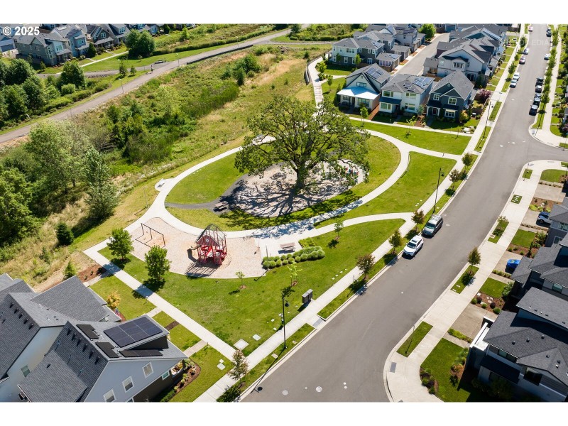 Community Park