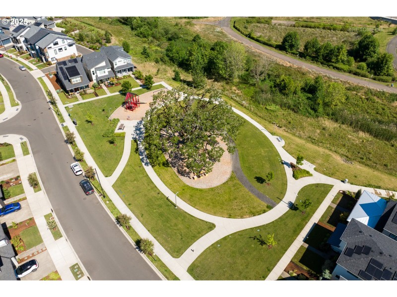Community Park