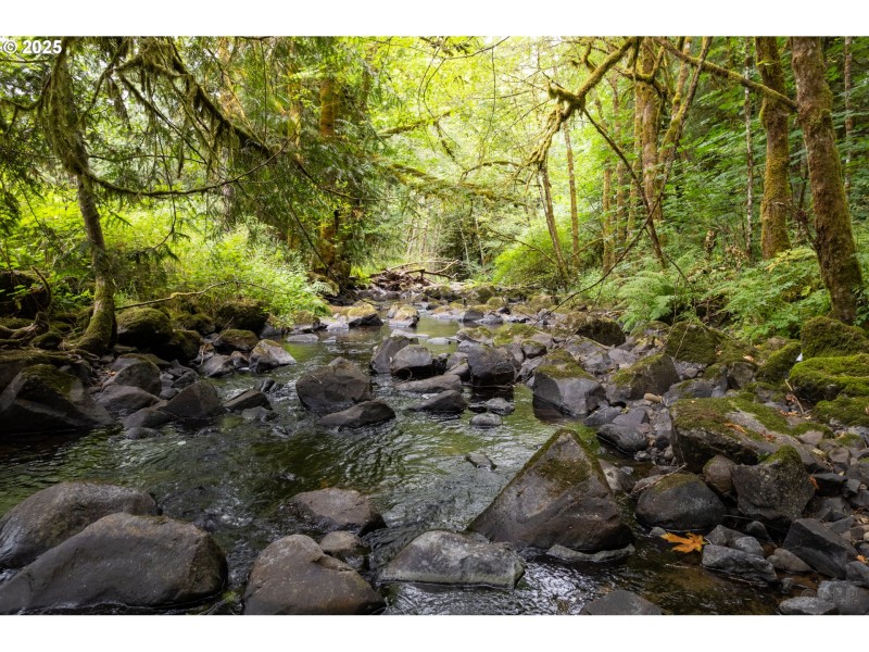 Creek