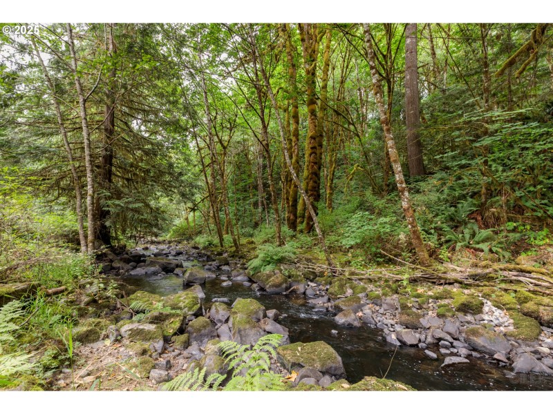 Creek