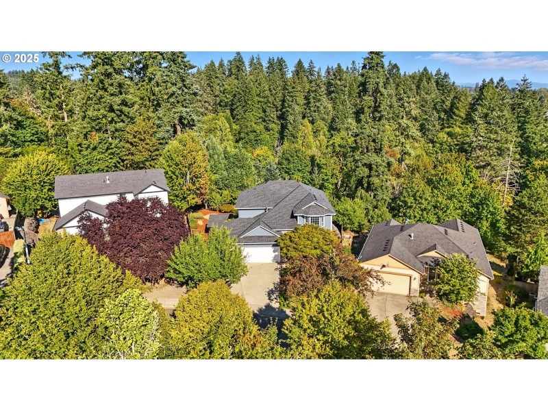 Drone View/UAV