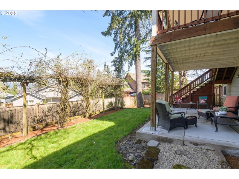 Backyard