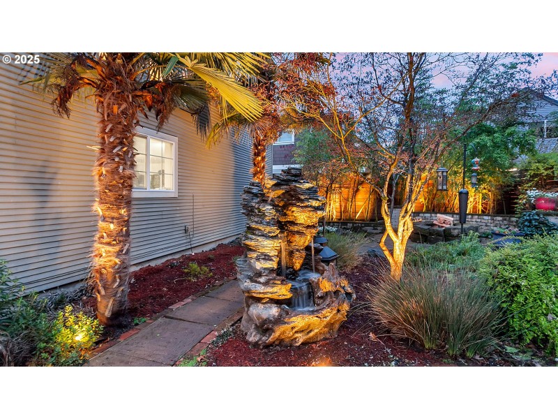 Backyard