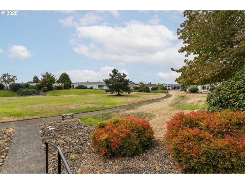 Community Park