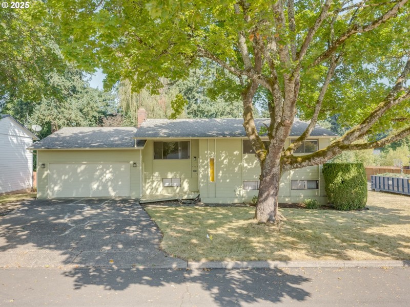 Front Yard