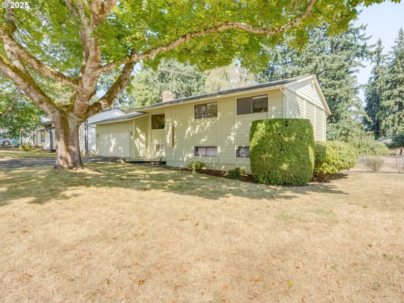 Front Yard