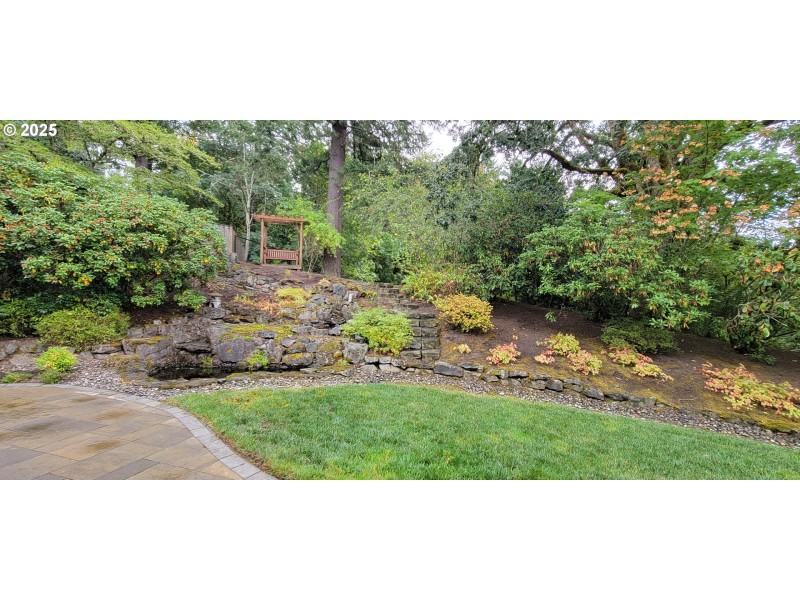 Water Feature