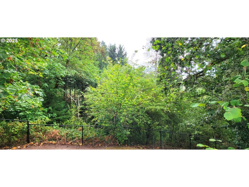 Green Space