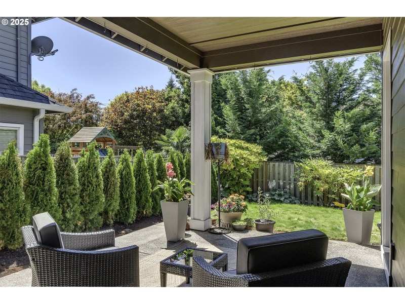 Backyard